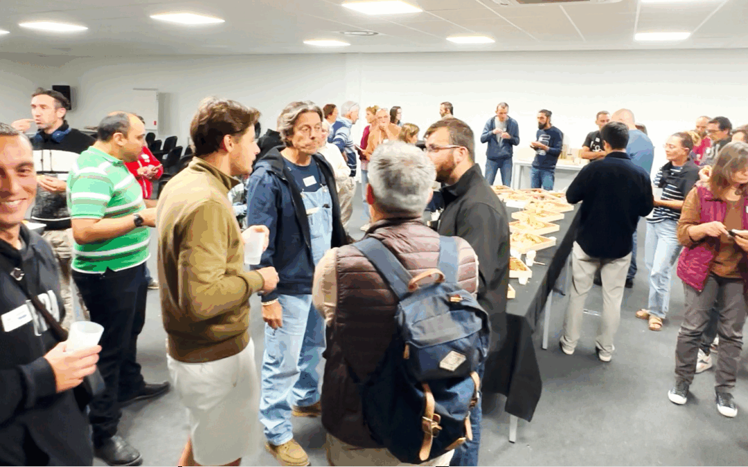 Formation CBD : comment choisir entre CBD et chanvre ?