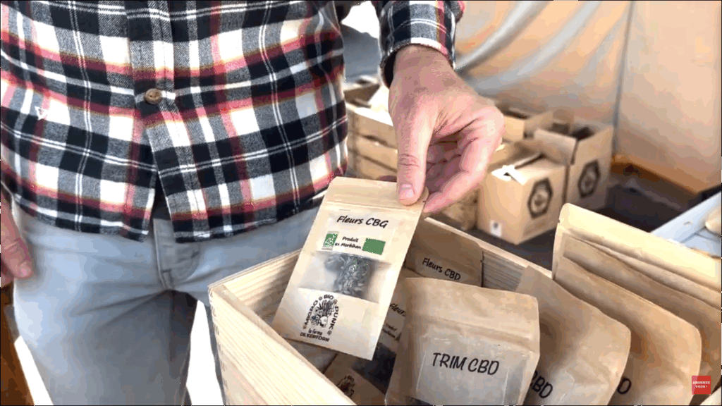 Modèles économiques du chanvre - L'achat-revente de produits a base de chanvre de qualité