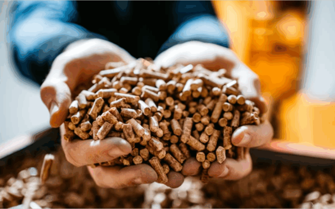 Pellets de chanvre : valoriser la tige de chanvre pour en tirer un revenu