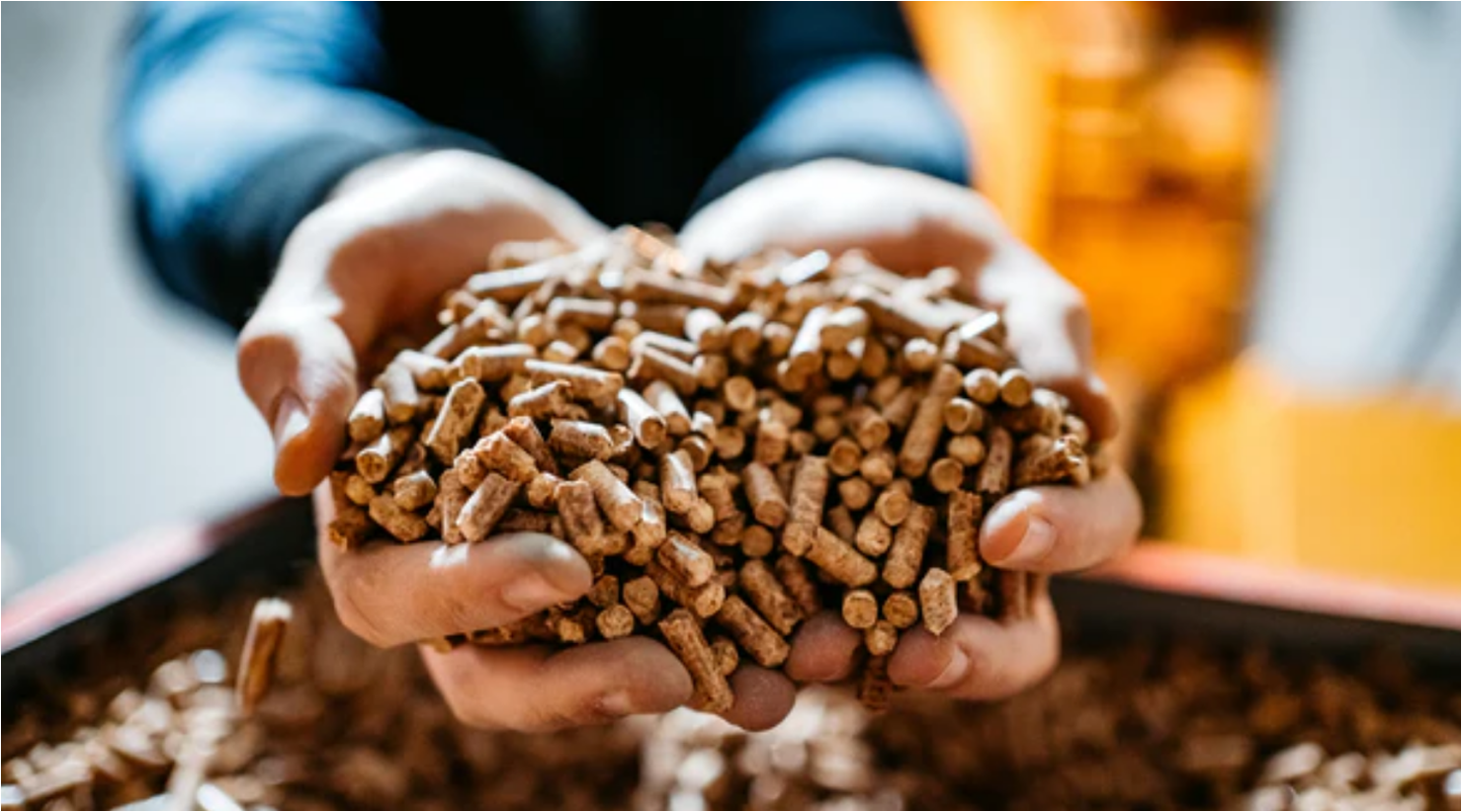 Modèles économiques du chanvre 3 - le Pellet de chanvre pour remplacer le pellet de bois dans les poêles à granules
