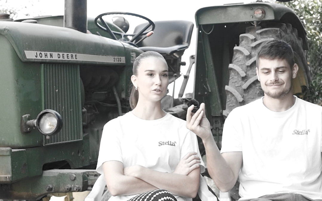 Protéine de chanvre artisanale : l’histoire du lancement très réussi de Stella Chanvre